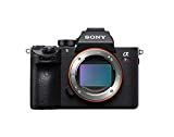 Sony a7R III Mirrorless Camera: 42.4MP Full Frame High Resolution Interchangeable Lens Digital Camer | Amazon (US)