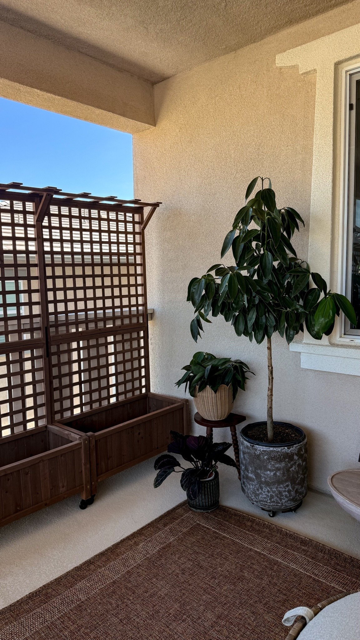 finally got the new privacy planter boxes built for the cozy patio! can’t wait to get some climbing vines planted in them! these are such great quality for the price!

#LTKSeasonal #LTKHome #LTKSaleAlert