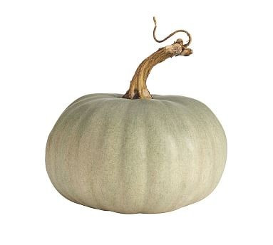Faux Pumpkins, Sage - Small | Pottery Barn (US)