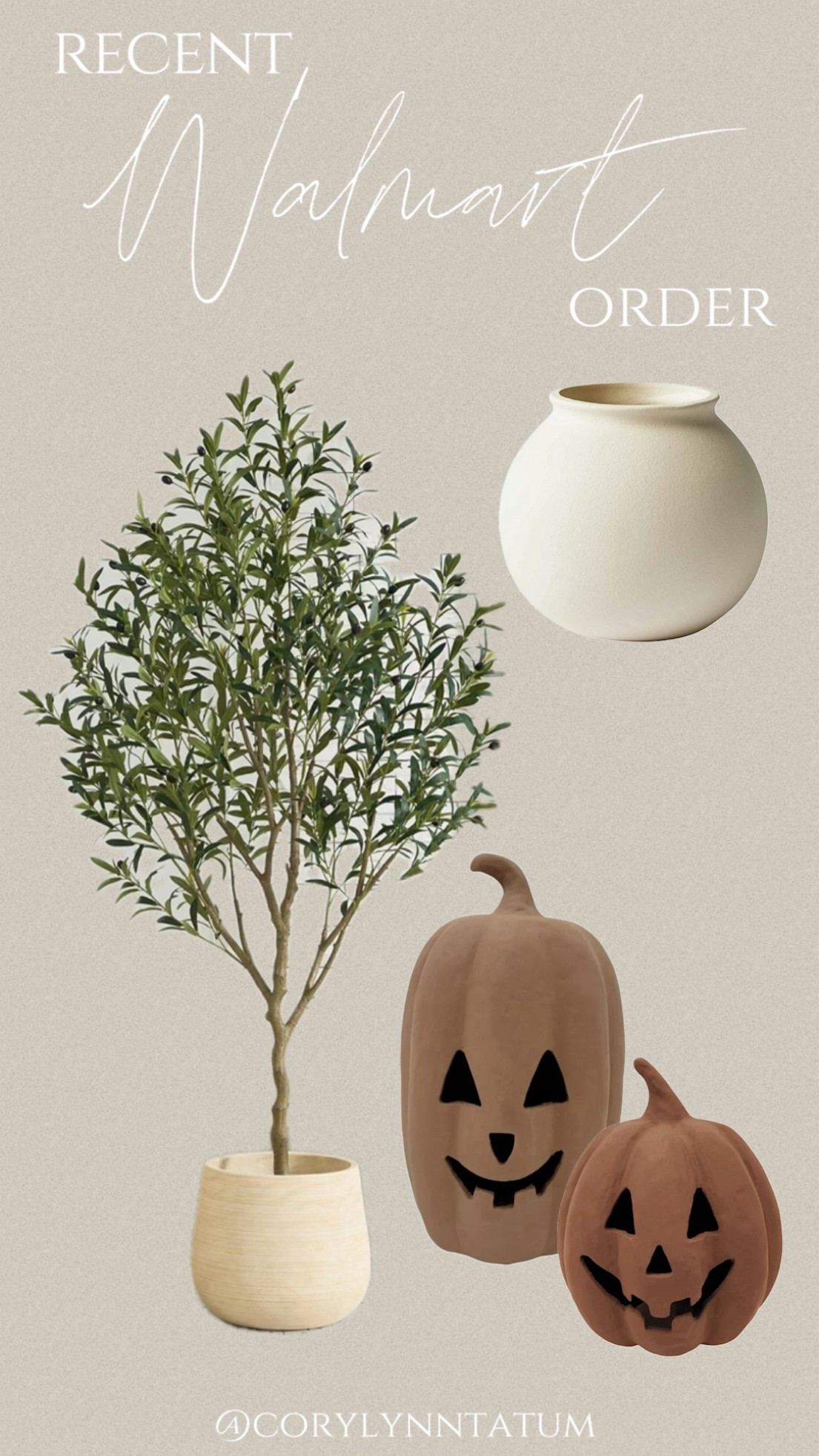 Recent Walmart order — faux Olive Tree, matte white round base + the viral pumpkins in the coffee color

#LTKHome #LTKSeasonal #LTKautumn