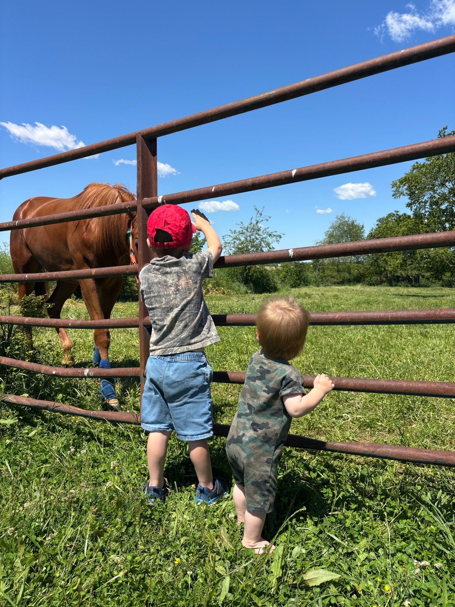 Farm boys ❤️

#LTKdayinmylife #LTKmorningroutine #LTKmomlife