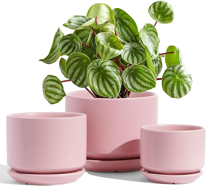 LE TAUCI Ceramic Plant Pots, 4.3+5.3+6.8 inch, Set of 3, Planters with Drainage Hole and Saucer, ... | Amazon (US)
