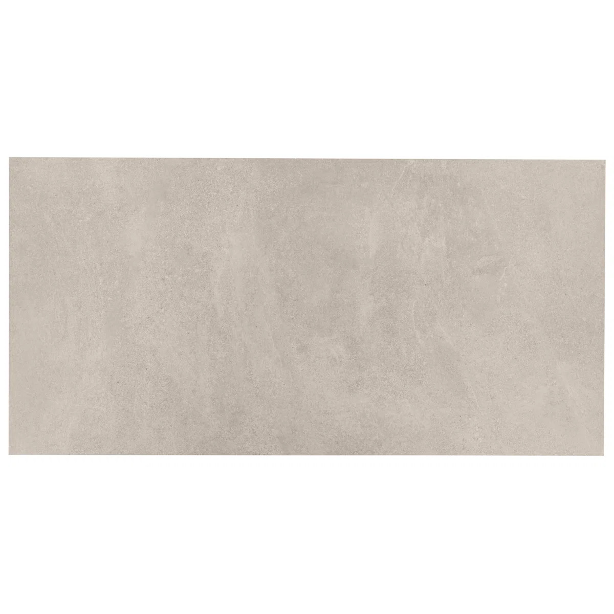 Roche 23.62 In. X 47.24 In. Matte Porcelain Floor And Wall Tile (15.49 Sq. Ft. / Case) | Wayfair North America