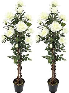 AMERIQUE Pair 4 Feet Gorgeous & Lifelike Artificial Blooming Rose Trees 18 White Rose Flowers, wi... | Amazon (US)