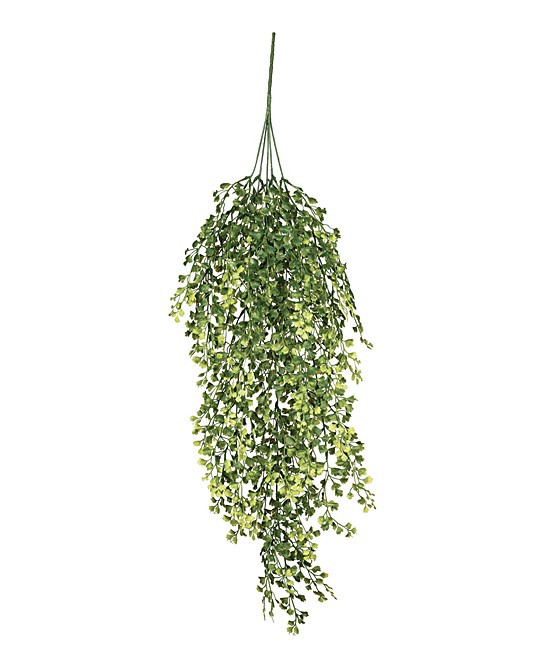 Sullivans Faux Plants Green - Artificial Maiden Hair Fern Vine | Zulily