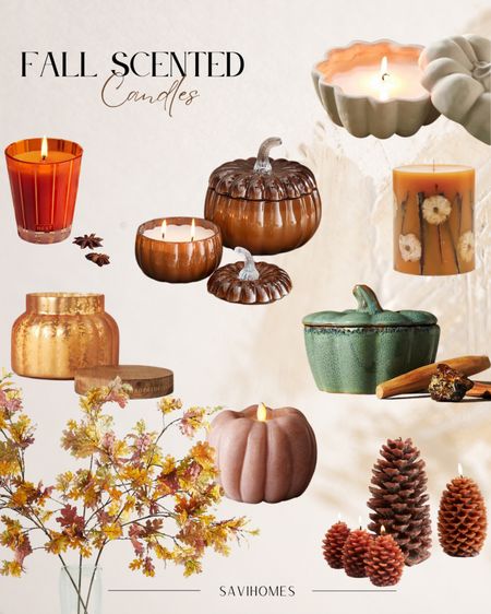 Fall Scented Candles 🍂 #fallscent #candles #cozy #pumpkin #pumpkinspice

#LTKunder50 #LTKSeasonal #LTKhome