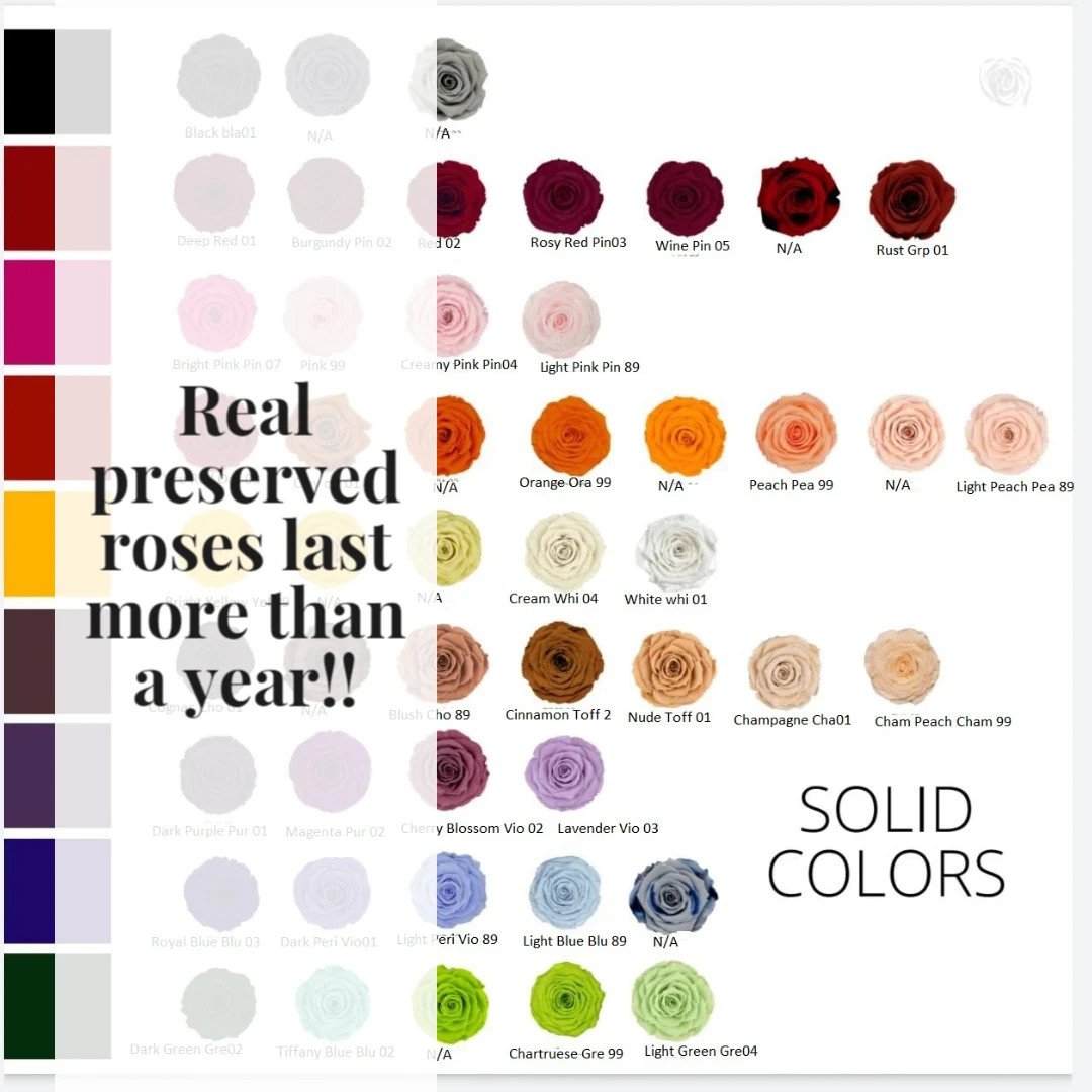 Preserved Rose Six Packs, Make Your Own Mother's Day Gifts - Etsy | Etsy (US)