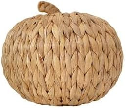 Ashland Natural Woven Water Hyacinth Pumpkin Tabletop Décor Fall Home Decor | Amazon (US)