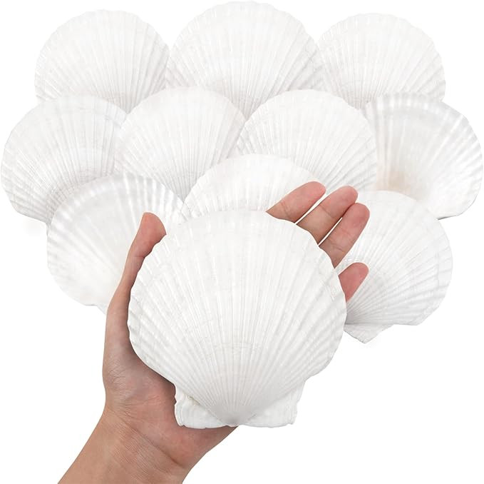 10PCS Large Natural Scallop Shells, 4''-5'' Large Shell for Crafts, DIY Painting, Baking and Beac... | Amazon (US)