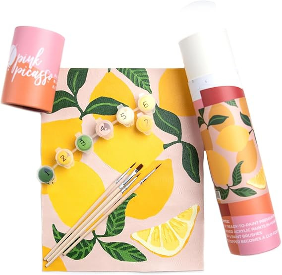 Pink Picasso Kits Mid Century Modern Paint by Number for Kids Ages 5-12 | DIY Beginners Kids Craf... | Amazon (US)