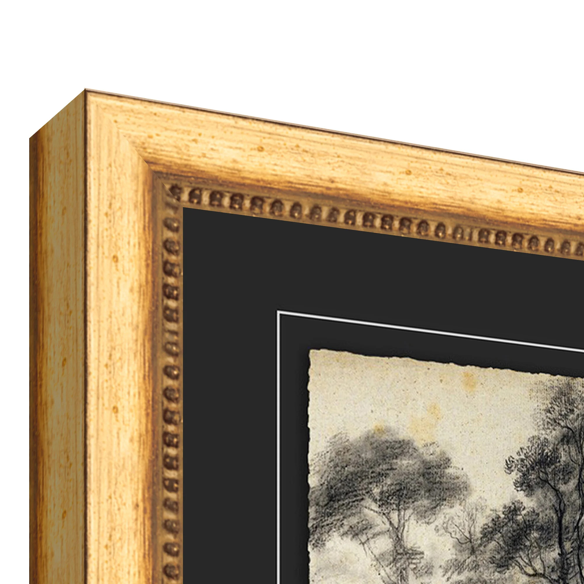 Tree Sketch | Magnolia