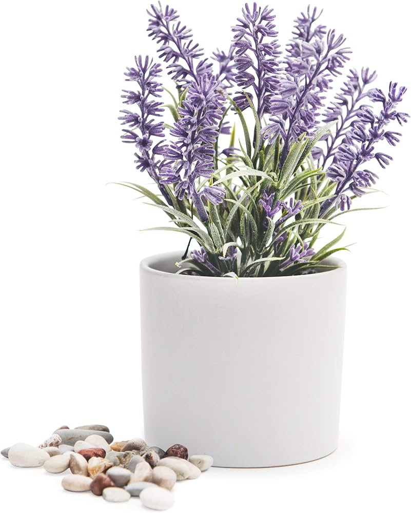Kurrajong Farmhouse Fake Lavender Plant for Desk Decor | Artificial Lavender Plant in Small White... | Amazon (US)