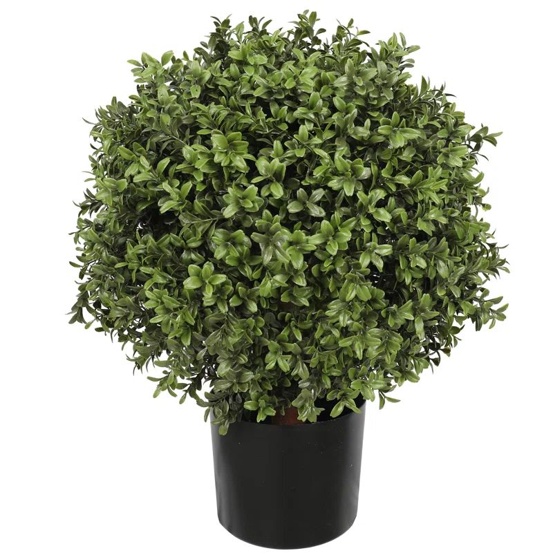 Faux Boxwood Topiary in Pot | Wayfair North America