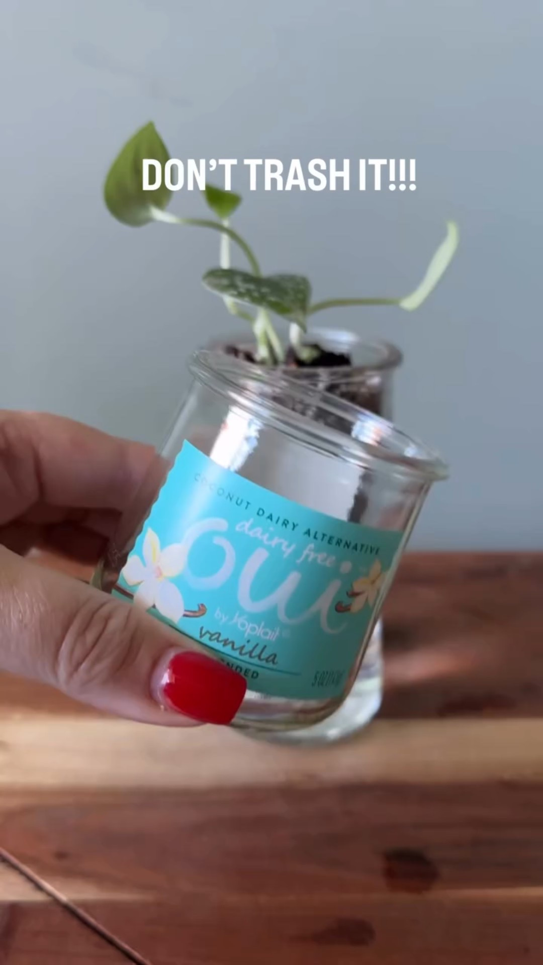 What’s not to love about this cutie DIY self watering planter! All you need is a few empty glass yogurt containers and a diamond drill bit. Would you give this a try?

Self Watering Planter | DIY | Plant Styling

#LTKHome