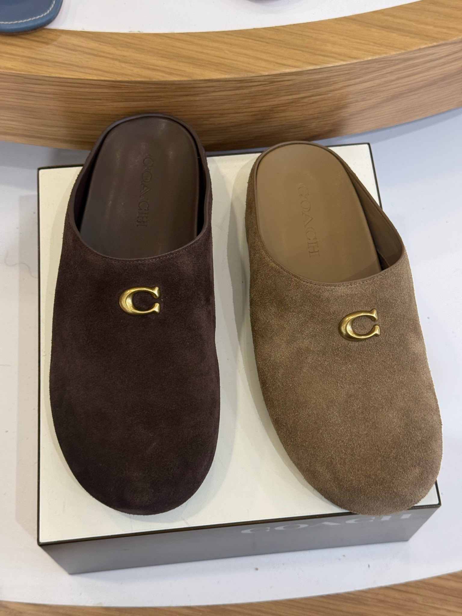 Fall shoe alert! 🍂 These Coach suede clogs at Dillard’s are exactly the kind of easy slip-on shoe I want with jeans, leggings and cozy sets. The little gold Coach detail finishes them perfectly.

#LTKSeasonal #LTKootd #LTKgrwm