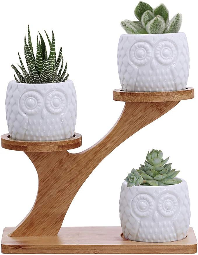 3pcs Owl Succulent Pots with 3 Tier Bamboo Saucers Stand Holder - White Modern Decorative Ceramic... | Amazon (US)