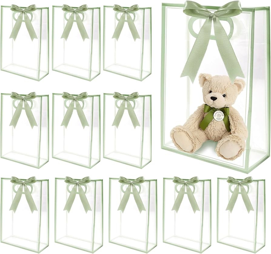 Sel Natural 12 Pcs Clear Gift Bags with Handles 7.1"x10.2"x3.2" Plastic Party Favor Bag with Ribb... | Amazon (US)