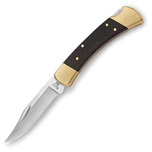 Buck Knives 110 Folding Hunter Lock-back Knife, Brass Bolsters, Ebony Handles, 3-3/4" 420HC Blade with Leather Sheath | Amazon (US)