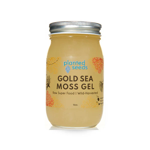 Gold Sea Moss Gel - 16oz Jar | Planted Seeds