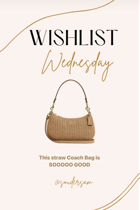 Wishlist Wednesday THE BEST summer bag 