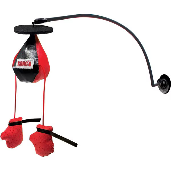 KONG Connects Window Boxing Cat Teasers Wands Toy with Catnip, Red | Chewy.com