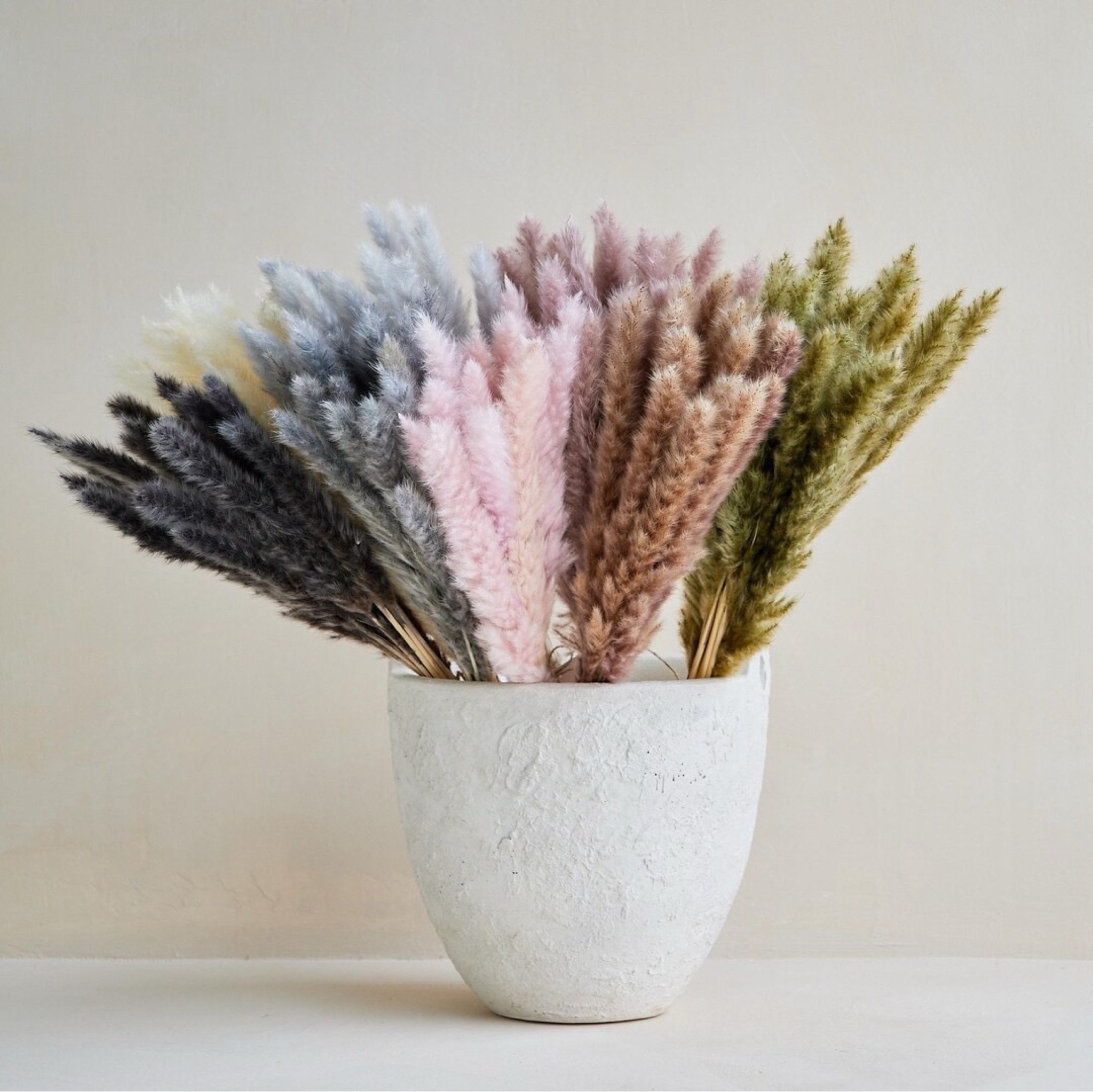 Soft, airy, and effortlessly stylish—this small pampas grass bunch adds the perfect touch of texture to any space. With 15 fluffy stems designed for a smaller vase, it creates a subtle yet eye-catching centerpiece for your home or event. Available in a range of on-trend colors, this long-lasting bundle brings warmth and movement to your decor without any upkeep. #ltkhome #ltkdecor #pampasgrass #driedflowers #neutraldecor #bohodecor #homestyling #cozyhome #sustainableliving

#LTKSeasonal #LTKWedding #LTKHome