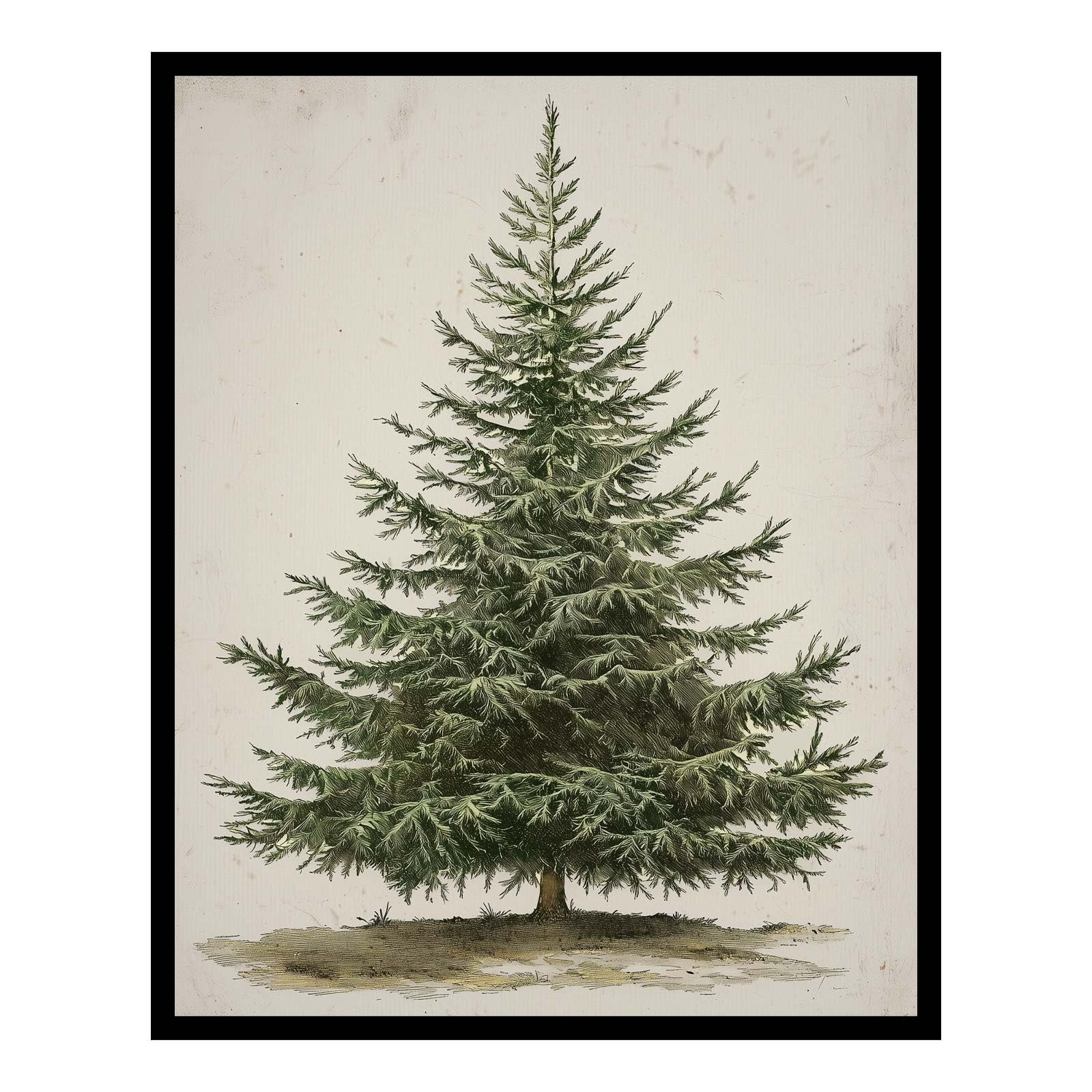 Vintage Christmas Tree, Pine Tree Vintage Print, Holiday Decor, Rustic Winter Tree Print, Botanic... | Amazon (US)