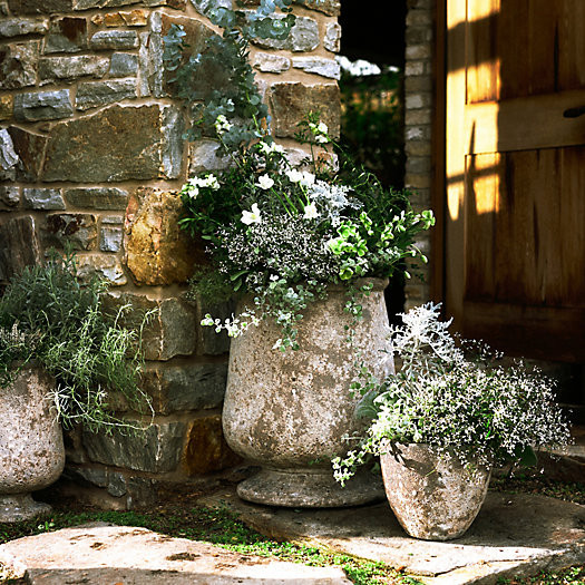 Barnacle Urn, 20" | Terrain