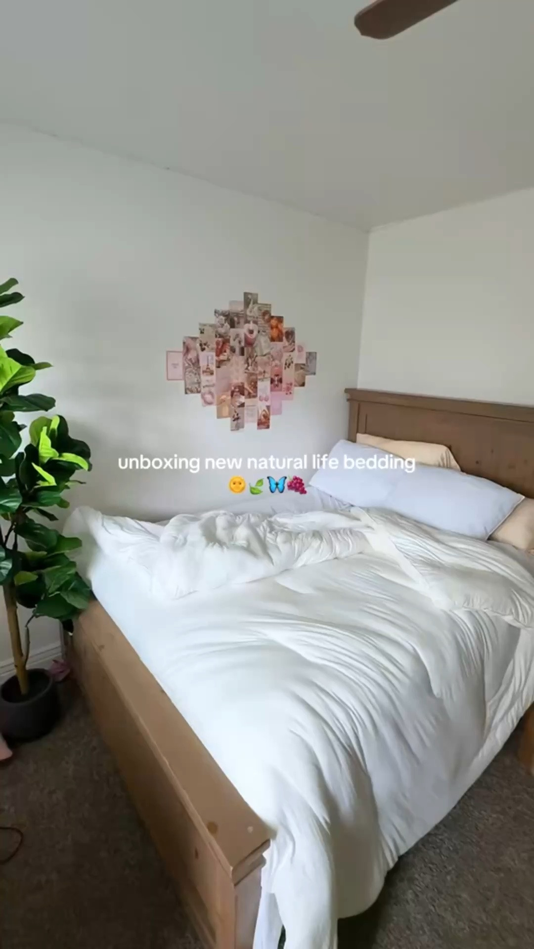 Hello, here are the links to my bedding! Sadly the pillow cases in my video are sold out now but they have many to pick from!🩷 #naturallife#naturallifebedding#bohobedding#bedroommakeover#naturallifehappy

#LTKHome