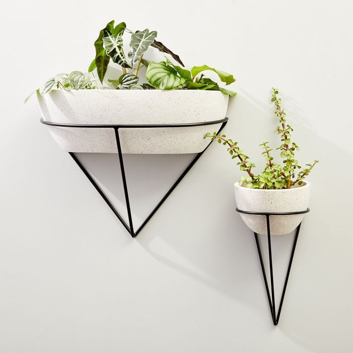 Iris Cement Indoor/Outdoor Wall Planters | West Elm (US)