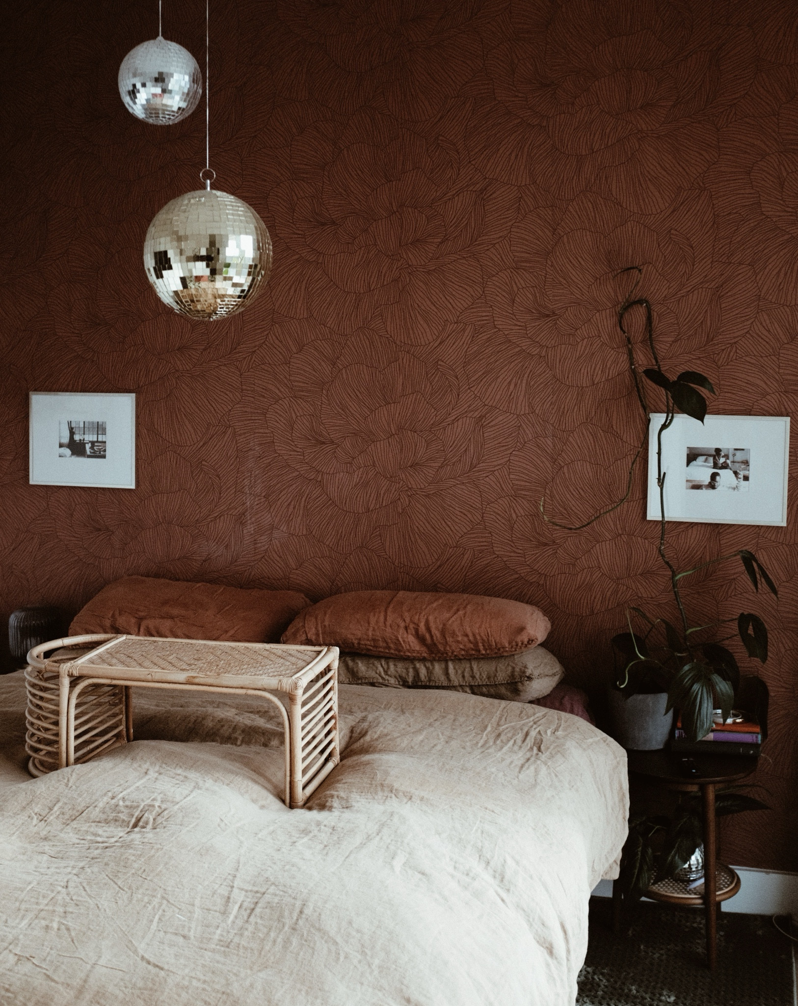 I need more plants! Right?! 🪩🪴

#LTKStyleTip #LTKHome #LTKWatchNow