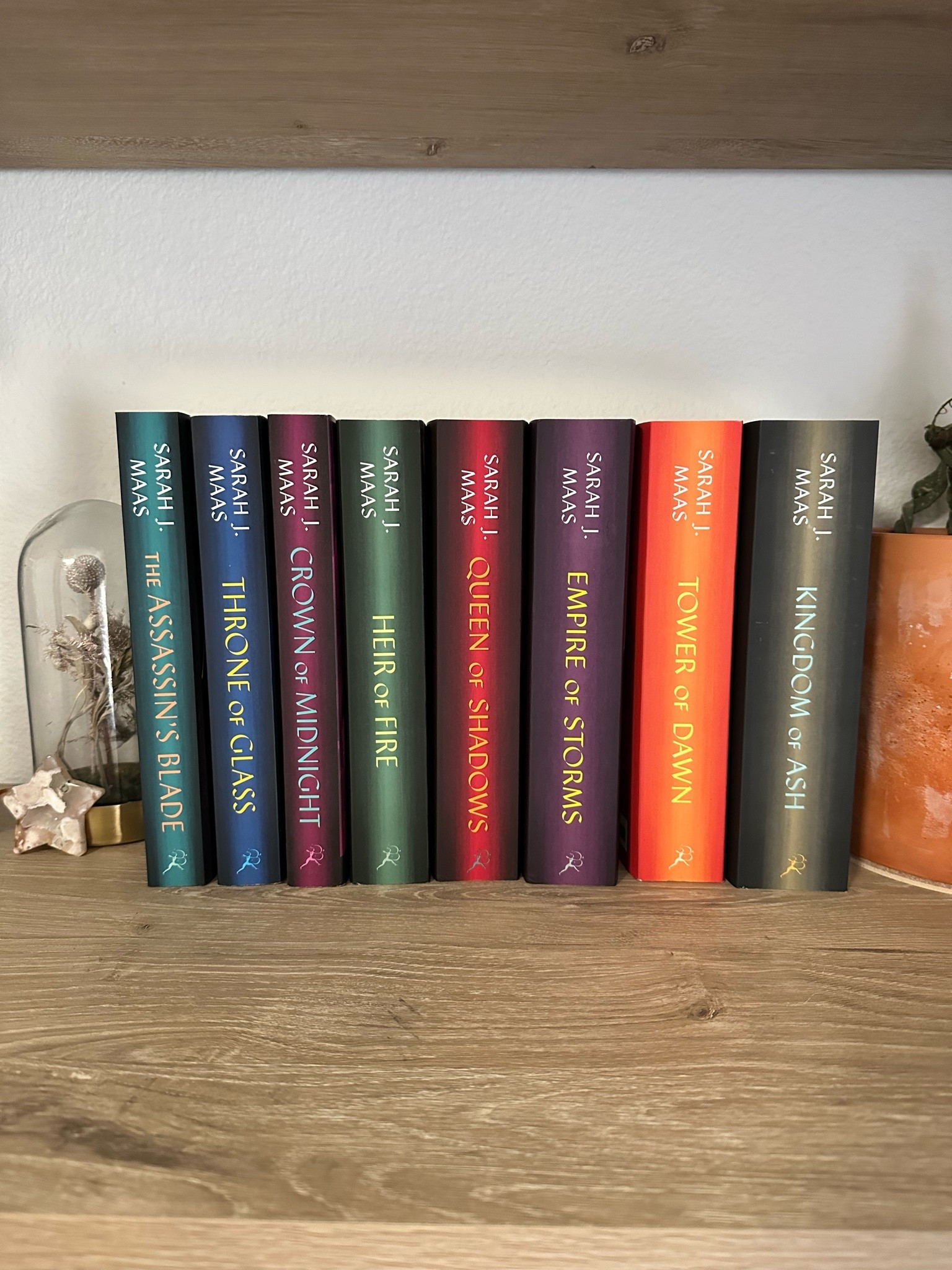 Throne of glass series 

#LTKFindsUnder100 #LTKFindsUnder50 #LTKGiftGuide