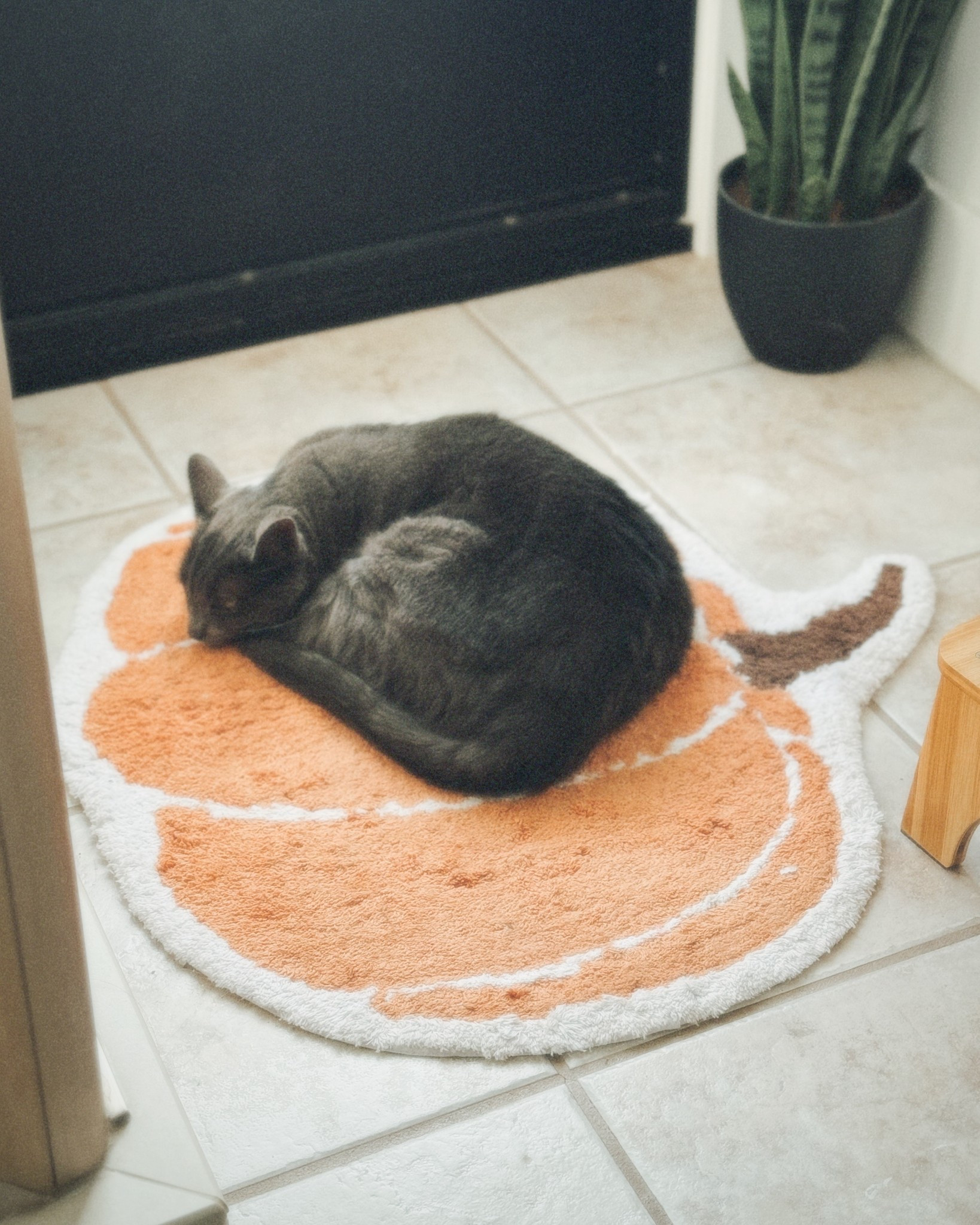 The cutest ☺️🎃 Some fall decor you can use through Thanksgiving! 

#LTKHalloween