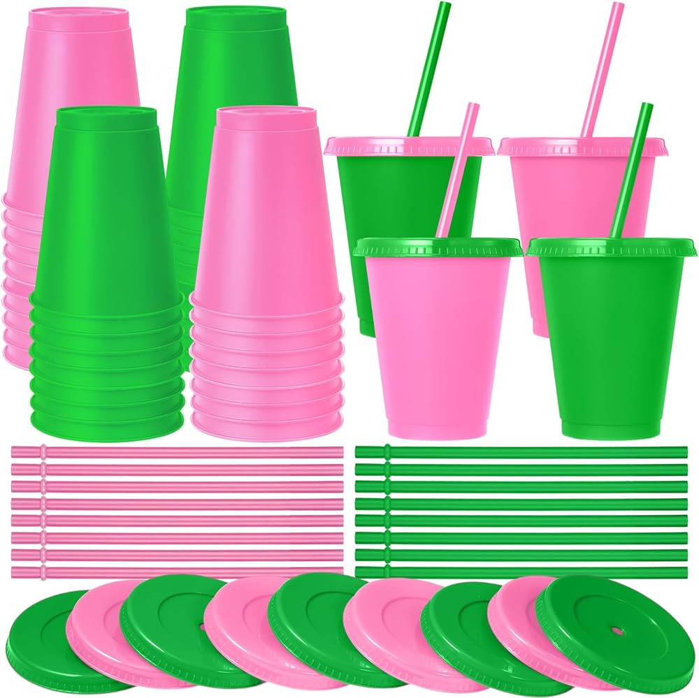 Skylety 16 Pcs Plastic Cups with Lids and Straws 16 oz Plastic Cups Coffee Reusable Tumbler Water... | Amazon (US)