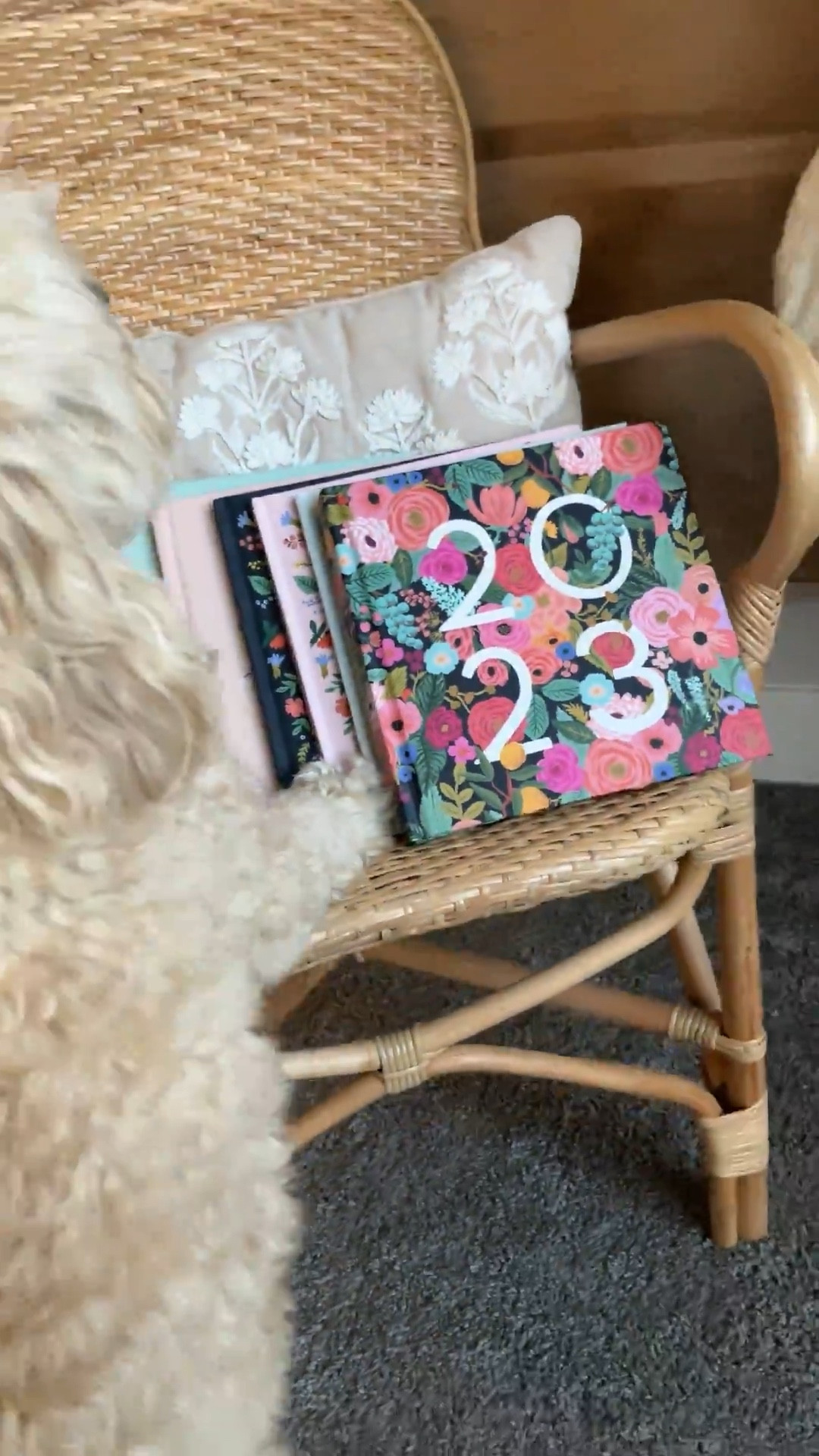 CODE: HONEYBOOTHECAVAPOO 
to save 20% — perfect last minute gift idea! It’s not too late to gift a Chatbooks subscription 🎁

#LTKGiftGuide #LTKHoliday #LTKSeasonal