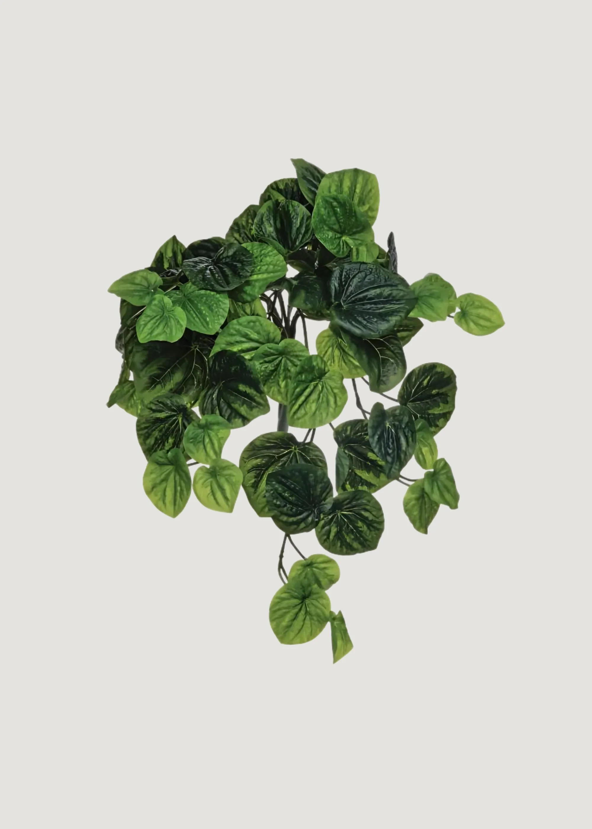 UV Treated Peperomia Fake Indoor/Outdoor Hanging Plant - 21" | Afloral