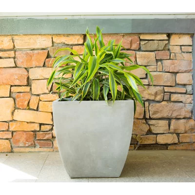 Pot Planter | Wayfair North America
