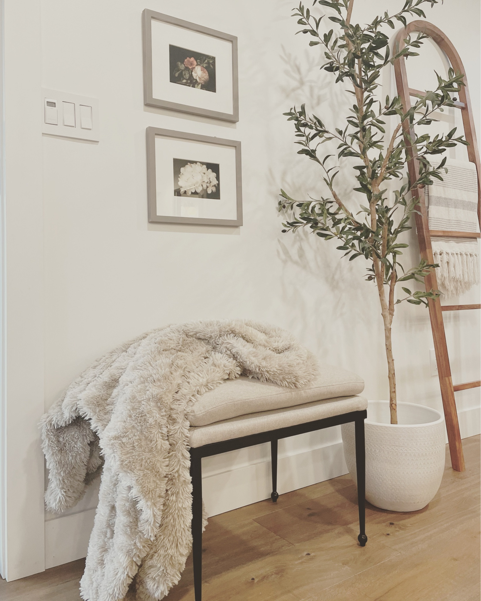 elevate your entry way with these budget friendly options. ✨

#LTKunder100 #LTKhome #LTKSale