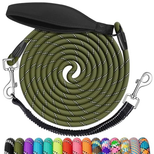 NTR Dog Leash for Large Dogs, 30FT Long Dog Leash with Swivel Hooks & Ergonomic Padded Handle, Detachable Bungee Training Lead for Walking, Hunting, Camping for Small Medium Large Dog | Amazon (US)