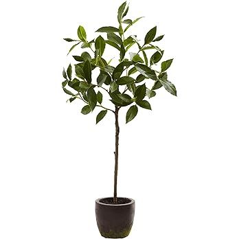 Nearly Natural 5423 Topiary with Decorative Planter, 29-Inch, Green | Amazon (US)