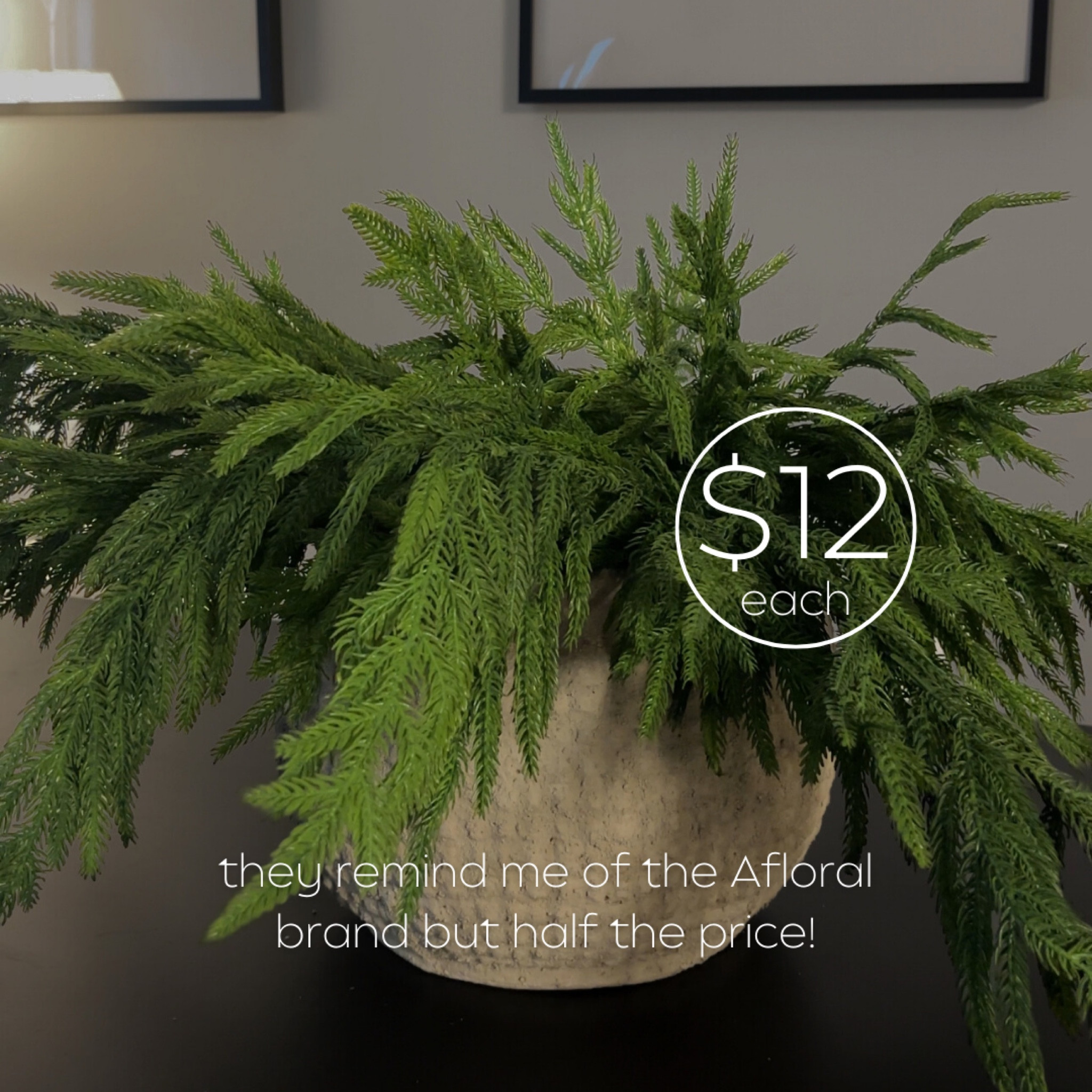 
Afloral Real Touch Norfolk Pine Branch dupe! 🌿 To say I am obsessed with these faux greens is an understatement. They instantly give my space a fresh winter vibe and they look so real. Faux Norfolk pine stems can be super expensive, but these ones are just $12 EACH and the quality is 10/10. I totally agree with all the raving reviews. 👏🏻

I can imagine throwing a little red ribbon on it for the holidays and having a beautiful green centrepiece without the brown dying needle mess. You know exactly what I’m talking about, right? If you’re decorating for Christmas on a budget and want some affordable home decor that will last for seasons to come, these branches are it. 

#LTKHoliday #LTKHome #LTKSaleAlert
