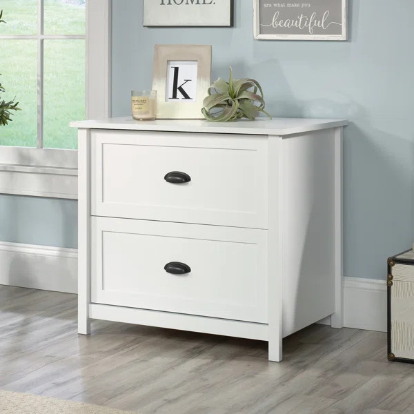 Demri 33.39'' Wide 2 -Drawer Lateral Filing Cabinet | Wayfair North America