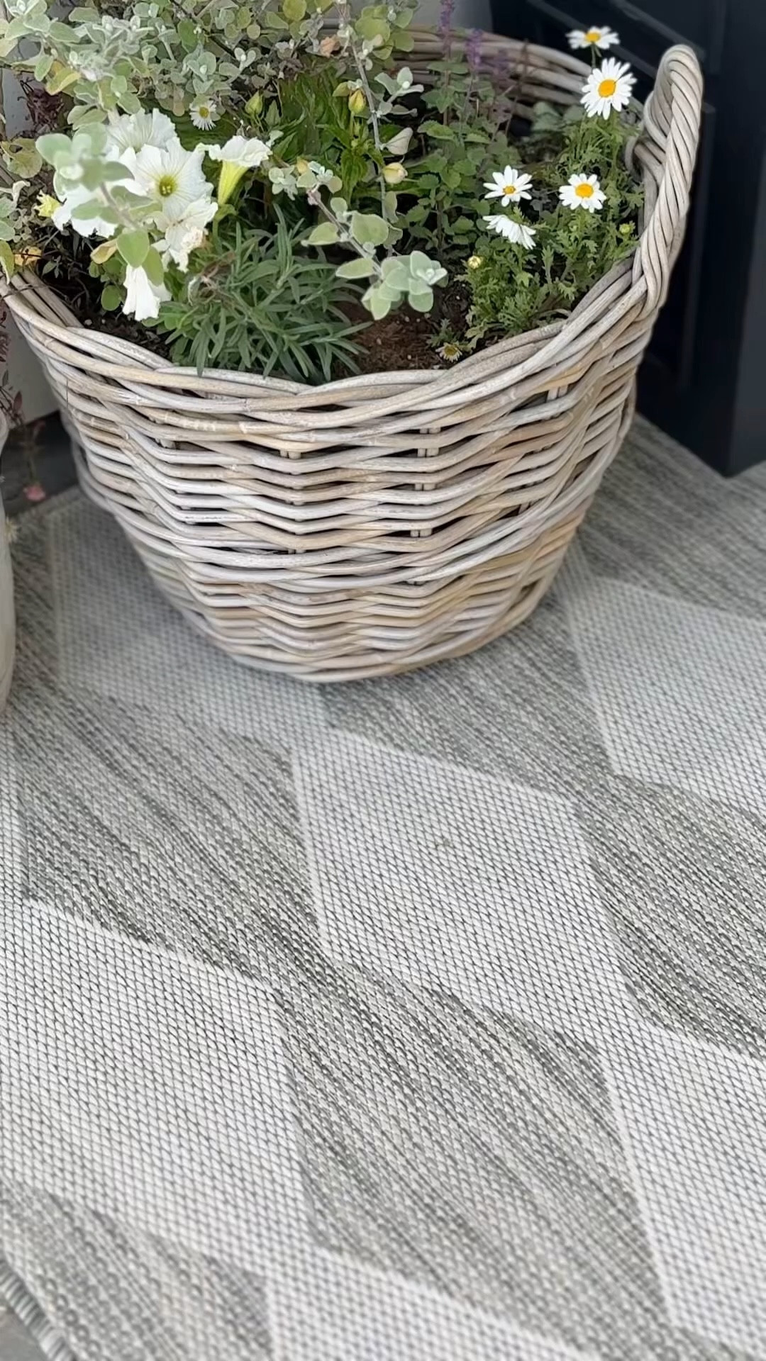 These are my favorite outdoor rugs!  The diamond pattern rug comes in multiple colors!  

From outdoor rugs to chaise loungers, @wayfair is always my go to for our outdoor living! #ad

#wishyouwerehere #outdoor #Wayfair #WayfairPartner 

shop.ltk #liketkit liketk.it

#LTKHome #LTKSaleAlert