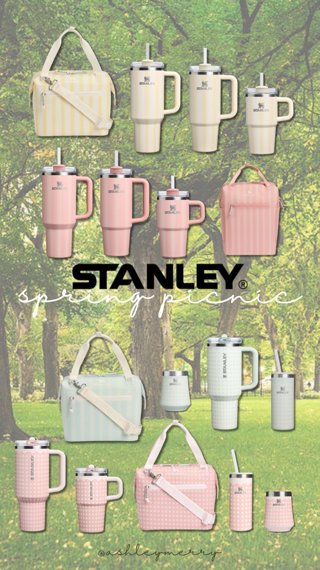 NEW Stanley Picnic

#LTKSeasonal #LTKFestival