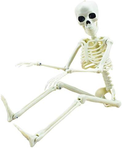 16” Posable Halloween Skeleton- Full Body Halloween Skeleton with Movable Joints for Haunted Ho... | Amazon (US)