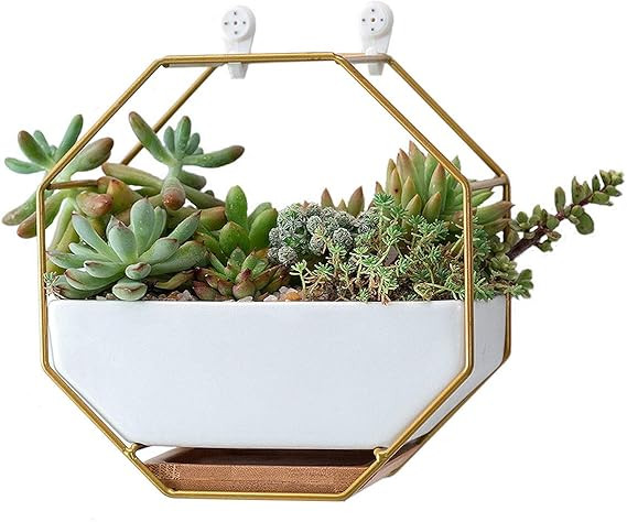 VanEnjoy 7" White Ceramic Wall Planters Vase and Copper,Drainage Hole with Bamboo Tray - Succulen... | Amazon (US)
