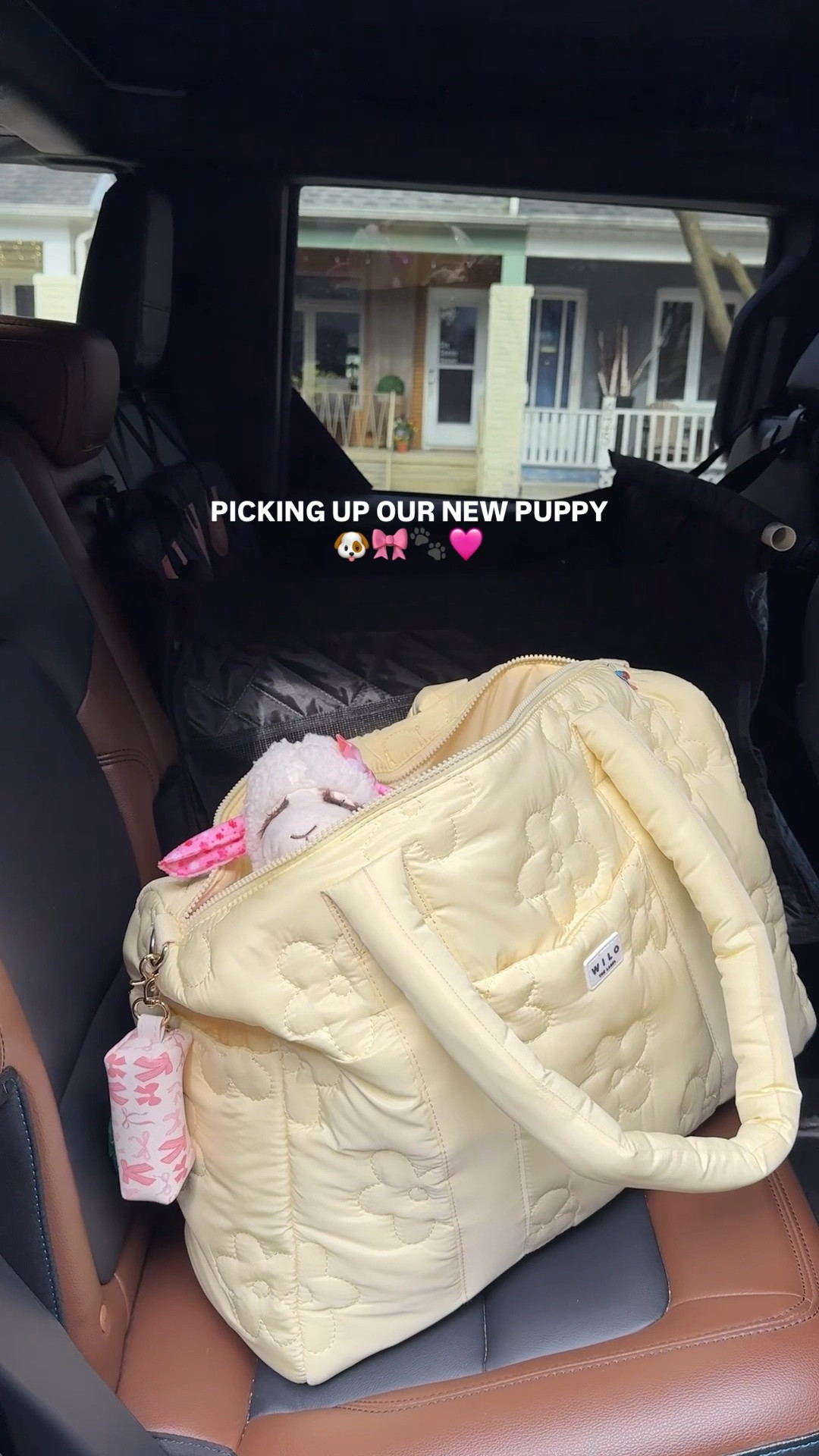 Puppy travel bag / puppy accessories/ puppy toys / cute puppy bag

#LTKtravel #LTKhome #LTKfamily