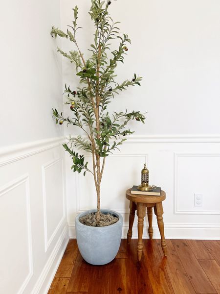 The perfect olive tree & planter combination. 

Artificial tree, olive tree, artificial olive tree, faux olive tree, fake olive tree, olive branches, fake tree, faux tree, faux plants, faux indoor tree, faux indoor trees, fake indoor tree, artificial indoor tree, dining room tree, dining room decor, dining room olive tree, budget friendly olive tree, home decor ideas, budget tree, budget friendly decor, moss, olive tree hacks, high end decor, potted olive tree, home decor, home decor living room, home decor dining room, neutral home, corner tree, tree for corner, empty corner decor, corner decor ideas, dining room inspo, dining room ideas, outdoor decor, sale alert, deal alert, decorative tree, tree pots, amazon decor, entryway tree, entry way tree, olive tree for sitting area, fake tree for living room, fake tree for bedroom, fake olive tree for dining room, hall trees, hallway tree, hallway decor, rubber tree, hall tree, ficus tree, entryway decor, entry way decor, entry decor, entrance decor, home decor, homedecor, greenery, living room decor, living room ideas, living room inspo, tall olive tree, skinny tree, skinny olive tree, silk tree, silk ficus tree, affordable decor, affordable home decor, affordable trees, eucalyptus tree, palm tree, porch tree, faux tree for porch, potted tree, potted faux tree, potted fake tree, maple tree, small tree, small artificial tree, small potted tree, medium potted tree, bedroom decor, living room decor, office decor, dining room decor, entryway decor,  
  
#amyleighlife
#olivetree

Prices can change  

#LTKHome #LTKFindsUnder100 #LTKStyleTip