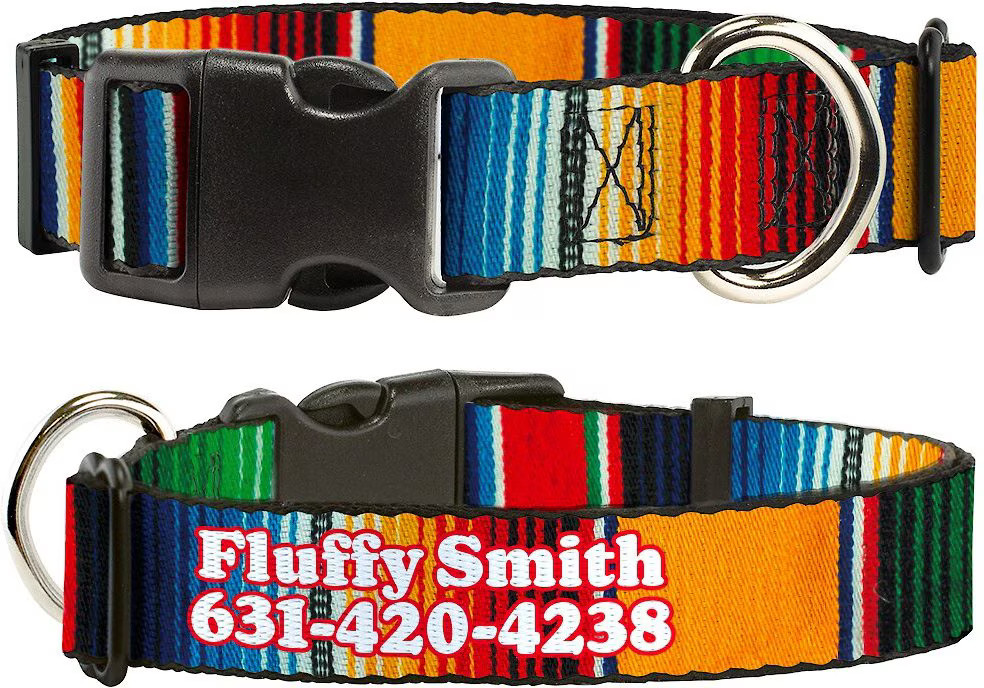 Buckle-Down Polyester Personalized Dog Collar, Zarape, Large | Chewy