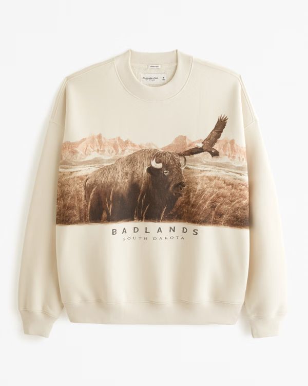 Badlands Graphic Crew Sweatshirt | Abercrombie & Fitch (US)